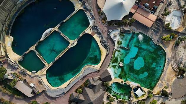 marineland-converti-depuis-avif marineland-converti-depuis-avif
